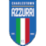查尔斯顿市布鲁斯